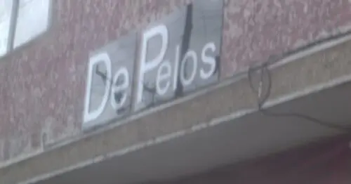 DE PELOS LA ESPERANZA SUR DE PELOS LA ESPERANZA SUR